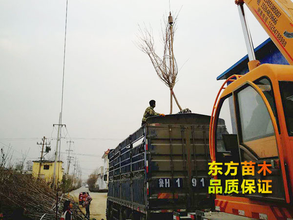裝車現(xiàn)場